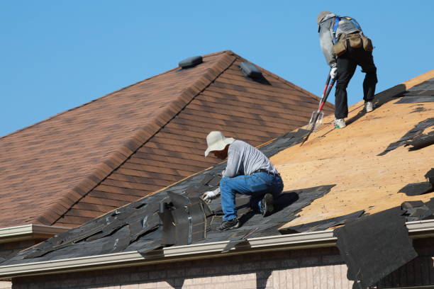Best Gutter Installation and Repair  in New Baltimore, MI